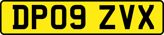 DP09ZVX