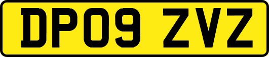 DP09ZVZ