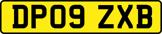 DP09ZXB