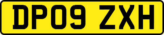 DP09ZXH
