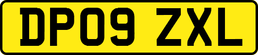 DP09ZXL