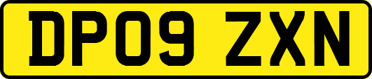 DP09ZXN
