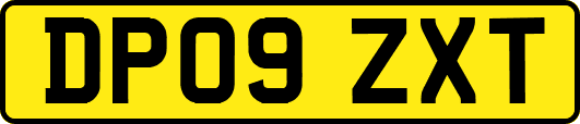 DP09ZXT