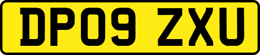 DP09ZXU