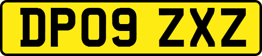 DP09ZXZ