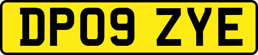 DP09ZYE