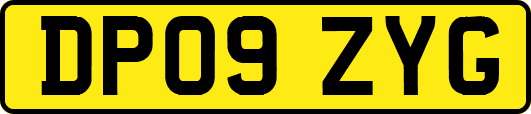 DP09ZYG
