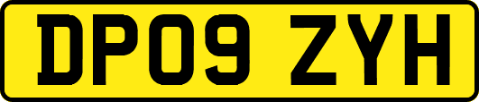 DP09ZYH