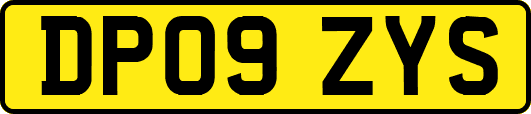DP09ZYS
