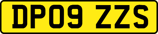 DP09ZZS