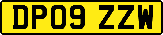 DP09ZZW