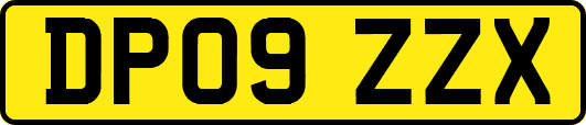 DP09ZZX