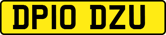 DP10DZU