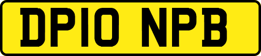 DP10NPB