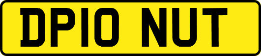 DP10NUT
