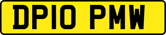 DP10PMW
