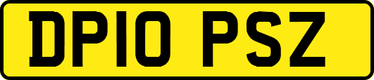 DP10PSZ