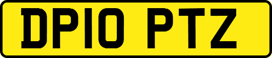 DP10PTZ