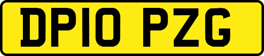 DP10PZG
