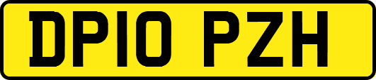 DP10PZH