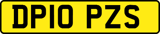 DP10PZS