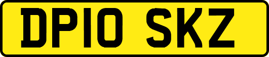 DP10SKZ