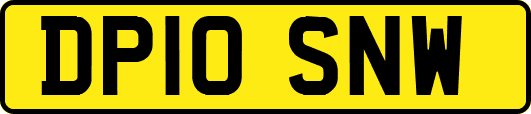 DP10SNW