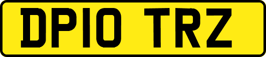 DP10TRZ