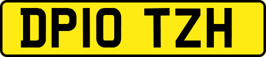 DP10TZH