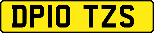 DP10TZS