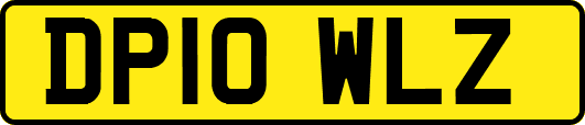 DP10WLZ