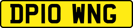 DP10WNG