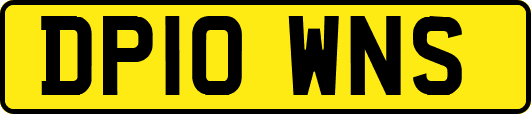 DP10WNS