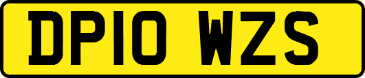DP10WZS