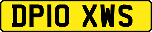 DP10XWS