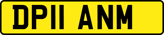 DP11ANM