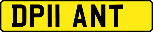 DP11ANT