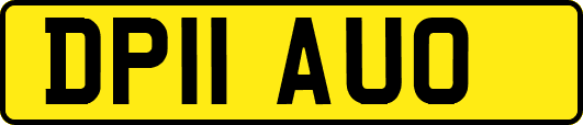 DP11AUO