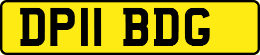 DP11BDG