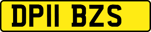 DP11BZS