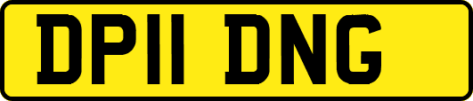 DP11DNG