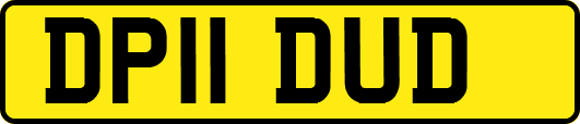 DP11DUD