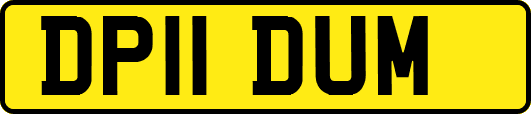 DP11DUM