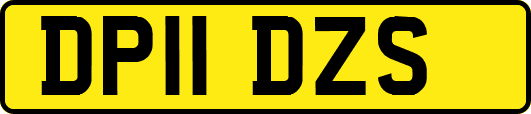 DP11DZS