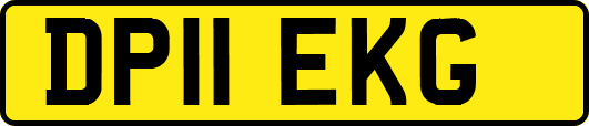 DP11EKG