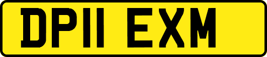 DP11EXM