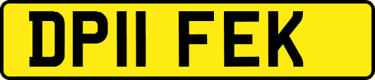 DP11FEK