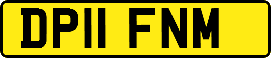 DP11FNM