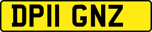 DP11GNZ