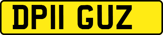 DP11GUZ